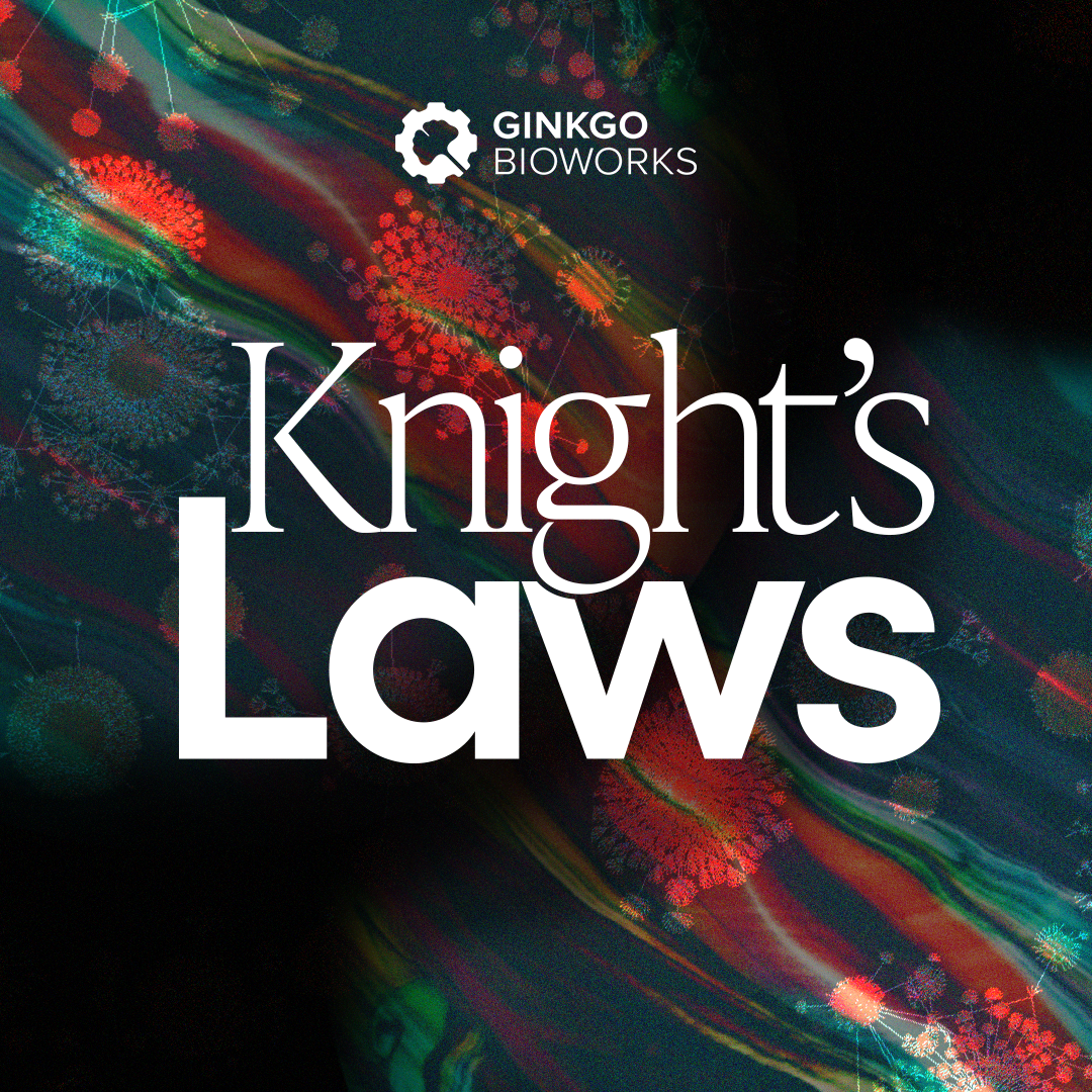 Knight's Laws