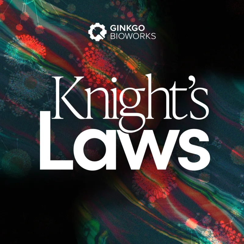 Knight's Laws