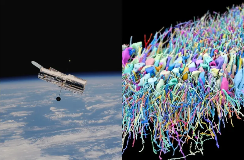 Hubble Space Telescope and a neural connectome