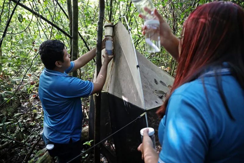 Reading Life to Save It